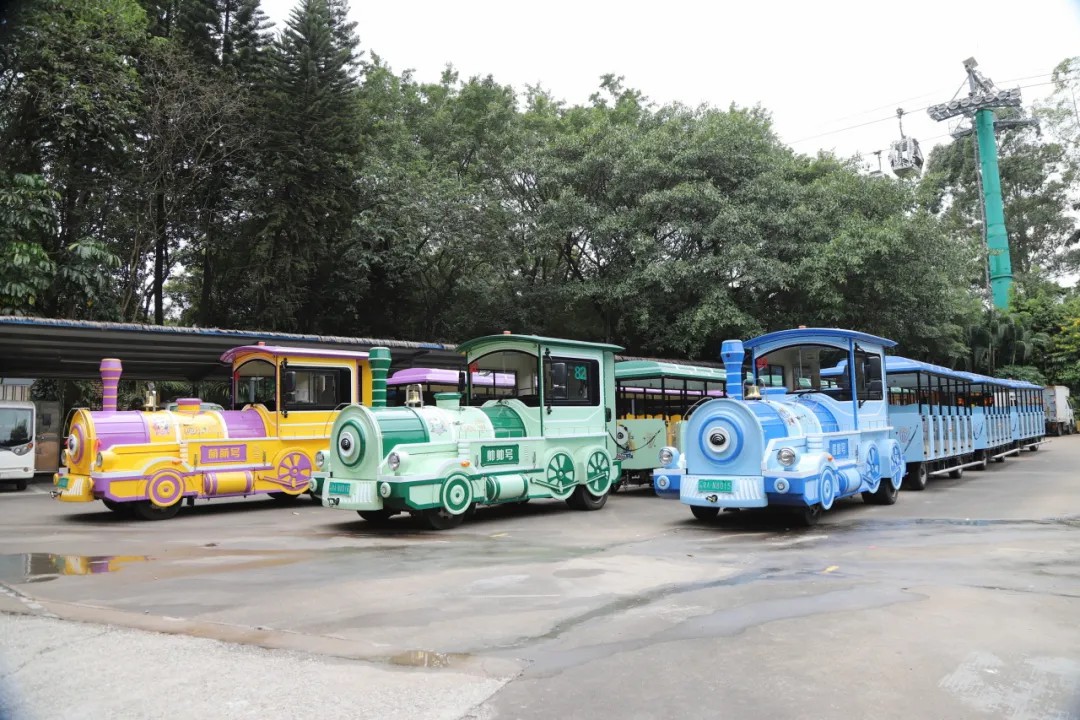 4萬公里 ，100%出勤率！宇通觀光車助力長隆打造沉浸式生態之旅